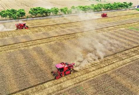 【全国“三夏”麦收进度过半】部分地区采取科技手段来提高麦田的产量-高端教育网