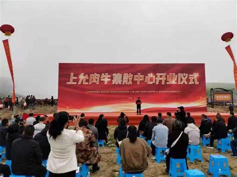 云南省首个数字肉牛集散中心在普洱澜沧上允镇启动_新华网