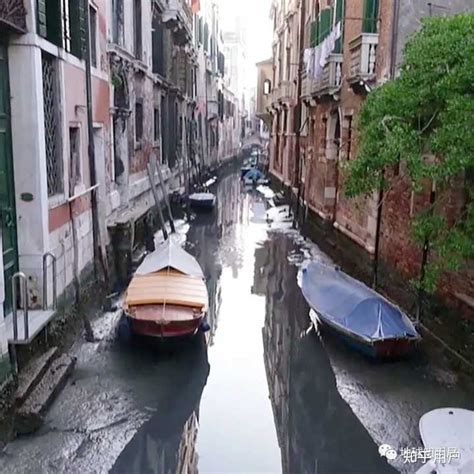 威尼斯的房子不怕淹？地基全是木头造的，放心泡水里也不会坏__凤凰网