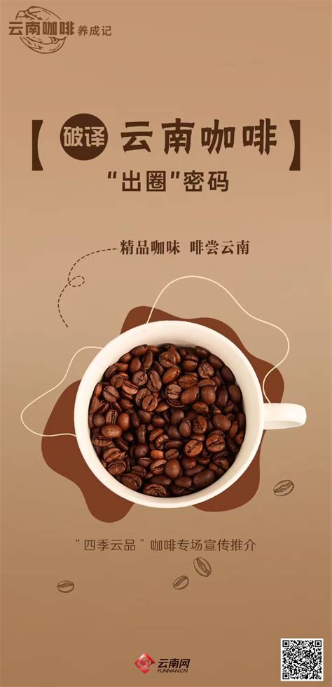 云南咖啡种植自然条件 云南咖啡普洱产区咖啡品种特点 中国咖啡网