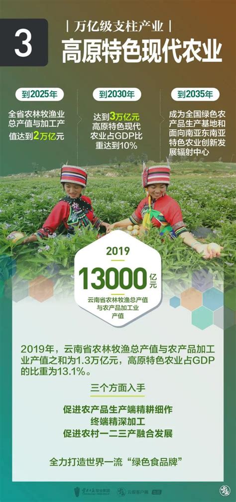 重庆特色农业初显规模化品牌化，全市名牌农产品已达437个_种植