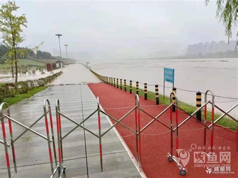 新街桥河堤整治恢复工程-工程案例-洛阳水利工程局有限公司