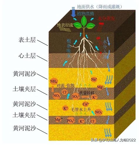 土壤分为哪三层（高中地理土壤分层结构图）-爱玩数码