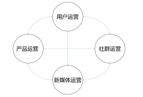 运营框架组织结构图|迅捷画图，在线制作流程图
