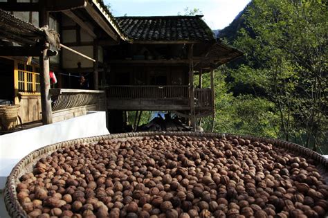 山坪塘可以养鱼吗,鱼塘养鱼知识,养鱼(第2页)_大山谷图库