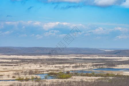 拉脱维亚大凯梅里沼泽的春日蓝天高清图片下载-正版图片504335519-摄图网