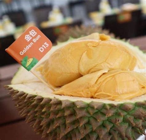 马来西亚『榴莲季』就要来啦！15块钱的榴莲自助，让你吃到丧心病狂！