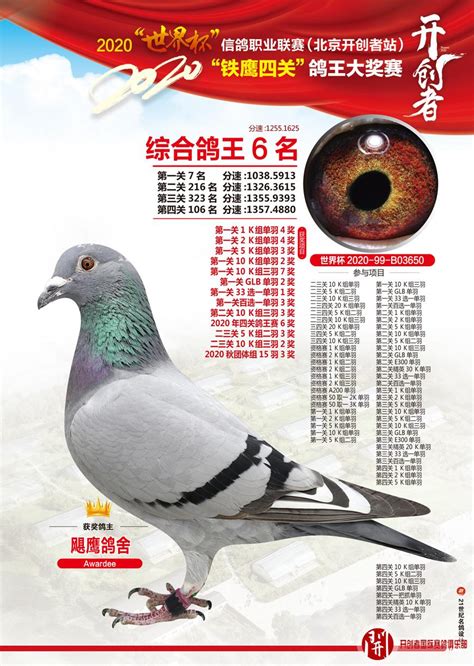 盘点近年中国超远程高位入赏鸽(图)-中国信鸽信息网