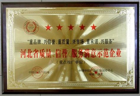 公司荣获“河北省质量、信誉、服务满意示范单位”称号 - 公司荣誉_大旗灯饰