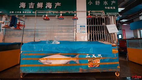 打探成都海鲜市场：三文鱼暂时下架，青石桥进口海鲜要登记|资讯频道_51网