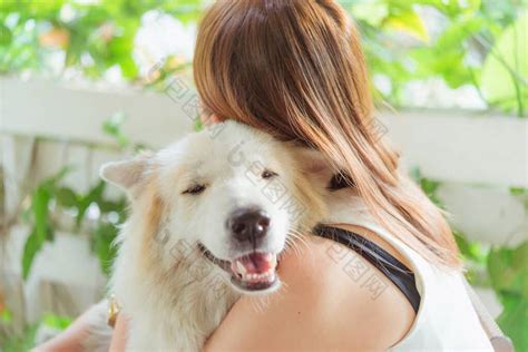 女人拥抱着她的宠物狗亲密的宠物狗快乐和友-包图企业站