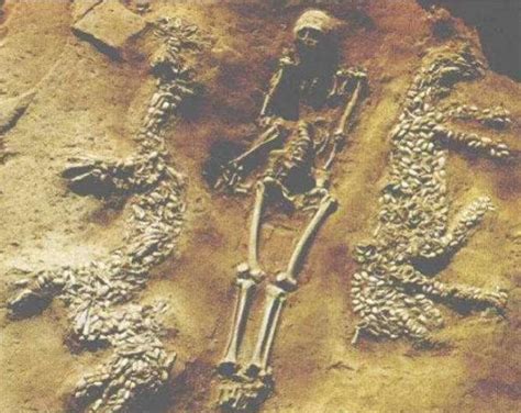 我国长江真的有龙？考古队：6000年前的遗址挖出“巨龙”|巨龙|遗址|龙_新浪新闻