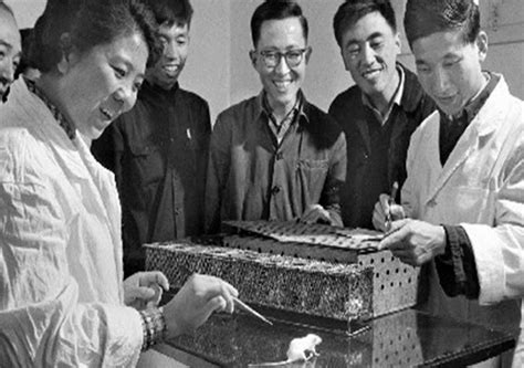 1965年的今天，中国科学家在世界上首次人工合成牛胰岛素 | 回眸上海科技_澎湃号·政务_澎湃新闻-The Paper