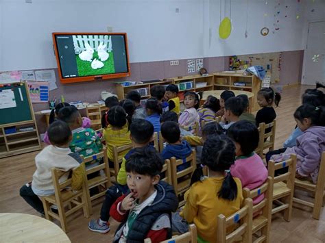 瞧，一场讨论正在郑州市管城回族区花溪路幼儿园课堂上进行_教育_资讯_河南商报网