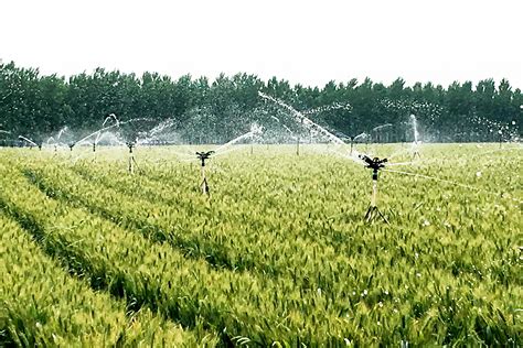 科技+农业！水稻节水有妙招~|北大荒|水稻|节水_新浪新闻