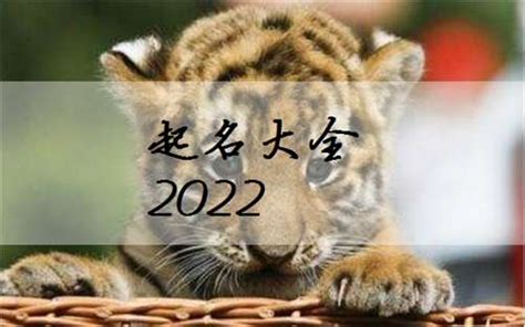 2022年3月出生的虎宝宝取名叫什么好(2022年2到3月份生的孩子起名叫什么好)