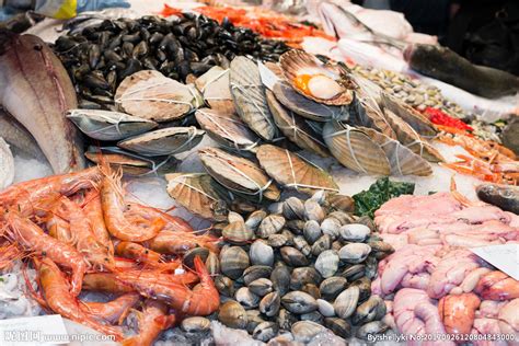 海鲜的品种有哪些 海鲜品种大全-查查吧的轻略博客
