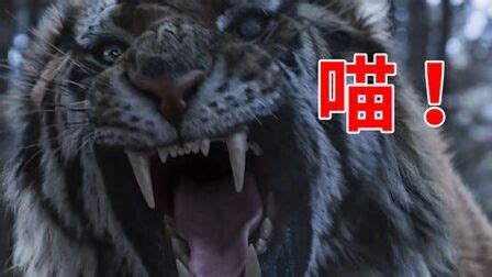 电影《大虎》，看韩国人如何用一只老虎讲抗日故事__凤凰网