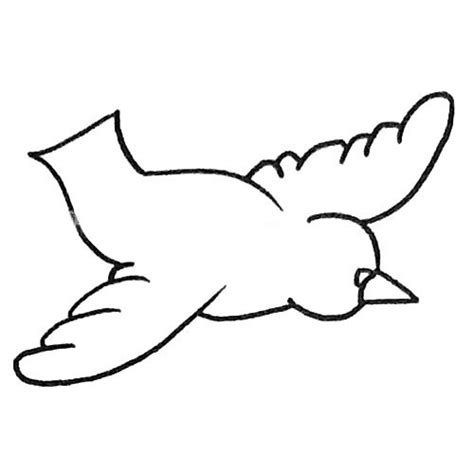 鸽子简笔画怎么画？鸽子简笔画步骤教程-黄鹤楼动漫动画设计制作官方网站！