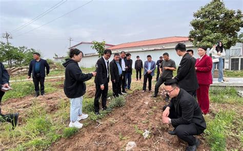 卧龙区委书记吕志刚进村入户走访调研巩固脱贫攻坚成果工作_澎湃号·政务_澎湃新闻-The Paper