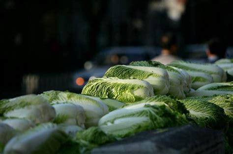 冬储大白菜准时上市，北京居民排长队购买：都是情怀！
