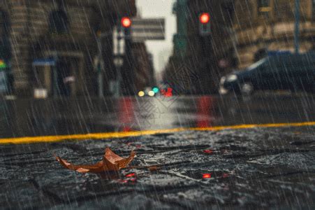 雨后的街道图片素材_免费下载_jpg图片格式_VRF高清图片500519919_摄图网