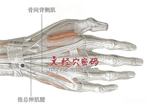 阳池准确位置图片