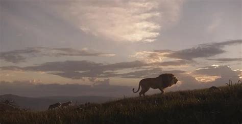 《狮子王》真人版王者归来，超燃预告片系列海报先睹为快-牛片网