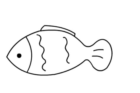 简笔画小金鱼分步骤详解 彩色小金鱼简笔画法_鱼类简笔画