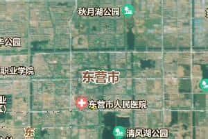 东营市地图 - 卫星地图、实景全图 - 八九网