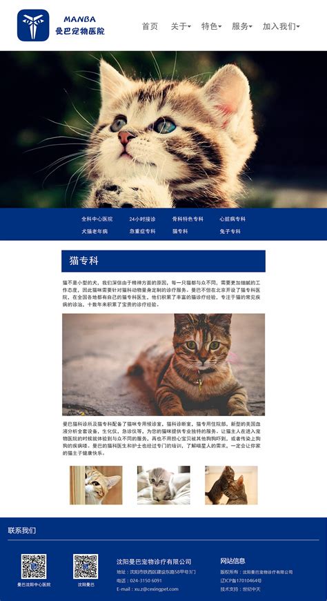曼巴宠物医院网站设计|website|Personal Website|设计师杨智超_Original作品-站酷ZCOOL