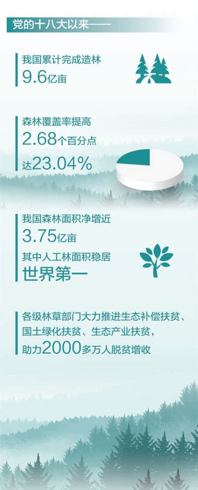 全球历史森林数据中国区域的可靠性评估