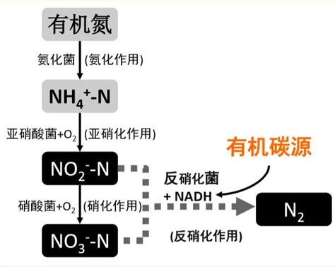 聚丙烯酰胺的黏度 -上海恒力水处理材料有限公司