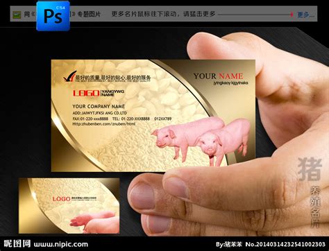 养猪名片设计图__名片卡片_广告设计_设计图库_昵图网nipic.com