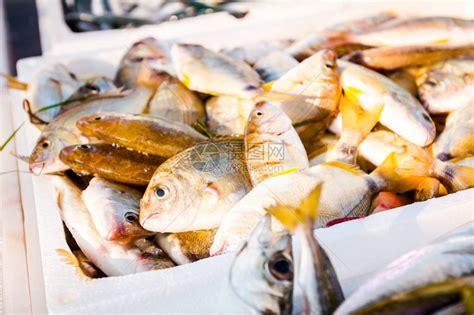在鱼贩户外海鲜市场出售的一堆新鲜鱼高清图片下载-正版图片505817494-摄图网