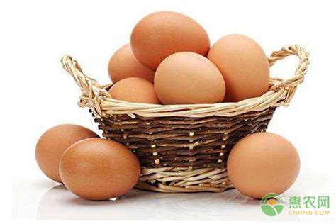 今日鸡蛋什么价?6月9日价格行情汇总 - 惠农网
