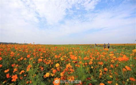 要想富 先修路！衡水市区这些道路要施工啦！_房产资讯_房天下