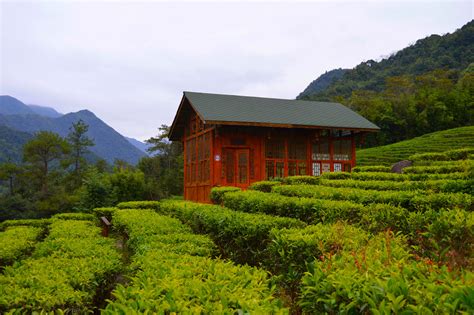 2021姑婆山-旅游攻略-门票-地址-问答-游记点评，贺州旅游旅游景点推荐-去哪儿攻略