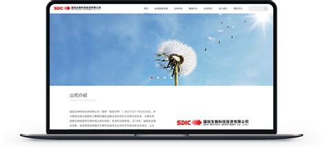 高端网站建设【迅能达电子】_网站设计案例 - 东莞市华略品牌创意设计有限公司