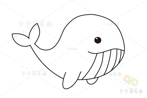 手绘鲸鱼简笔画图片