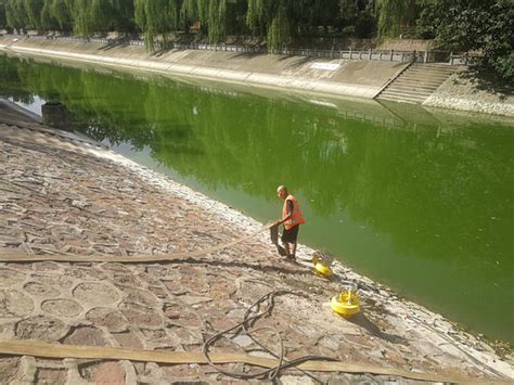 郑州市区这两条河活水断流水质变浑发臭 发生了什么？_大豫网_腾讯网