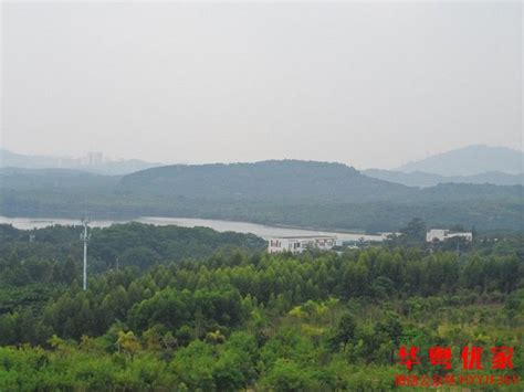 石岩塘头村委统建楼【利嘉花园】4栋600套花园式小区，管道燃气_深圳小产权房2022新楼盘_深圳最新开盘楼盘信息_深圳小产权房价走势-华粤优家网