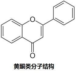 一种新型对称双黄酮类化合物及其制备和应用
