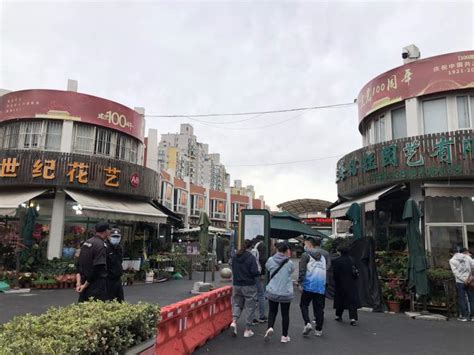 走访上海最大花鸟鱼虫市场（岚灵花鸟市场）_腾讯视频