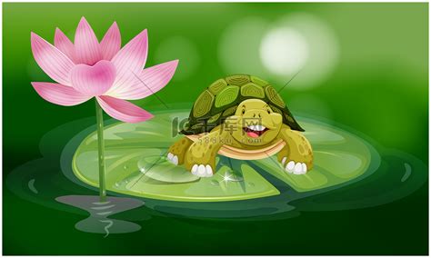 乌龟漂浮在池塘的荷叶上高清摄影大图-千库网