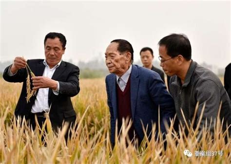 袁隆平：超级杂交稻可实现北方种植推广计划_新浪新闻