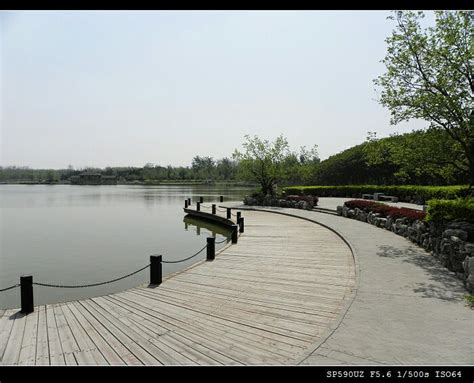 2023天津塘沽森林公园游玩攻略,有的水面还比较大，在公园深...【去哪儿攻略】