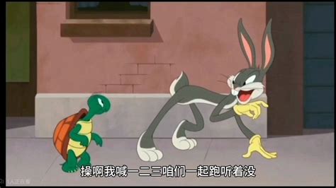东北话搞笑配音😂兔子和乌龟赛跑！兔子不讲武德！_腾讯视频
