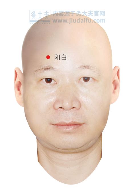 阳白的准确位置图图片 阳白的准确位置图图片
