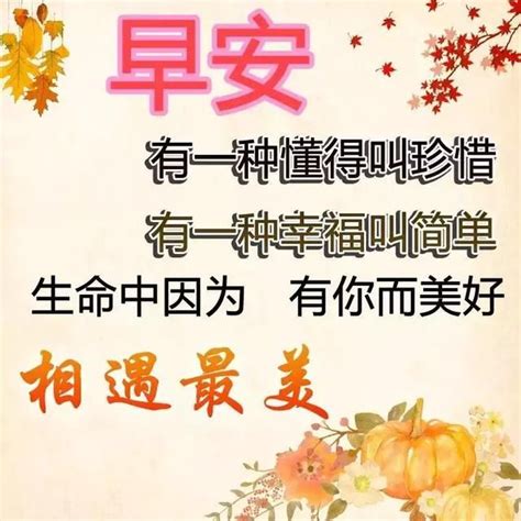 中午好大全图片